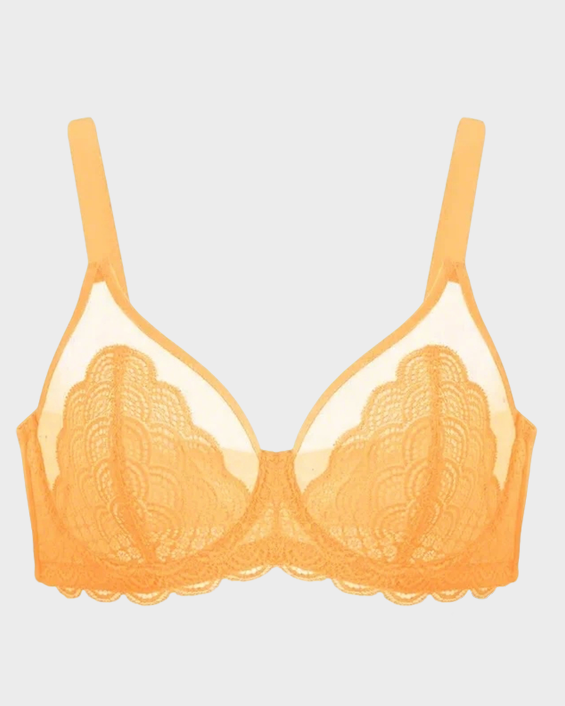 Mermaid Scales Lace Plus Size Minimizer Bra